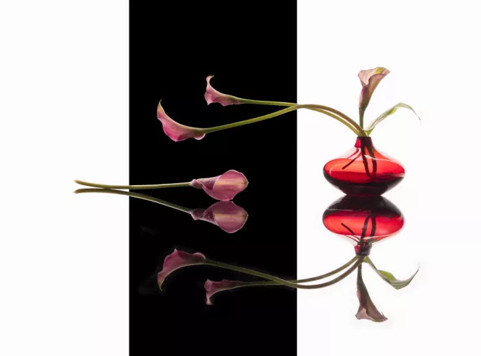 Mao, Dianne: Giglio rosa in vaso rosso