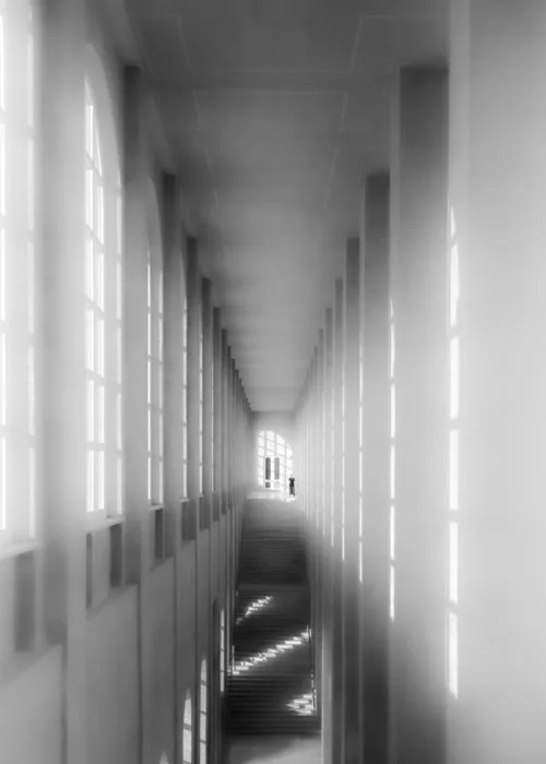 Dauer, Andy: Opposto