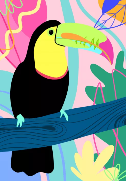 Fritsch, Athene: Toucan coloré