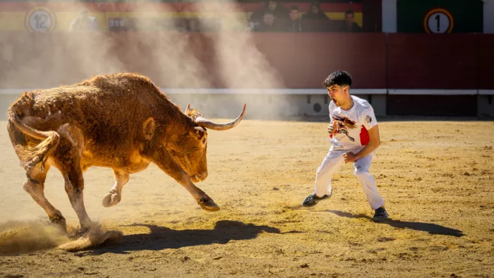 Ribes, Gustavo: Rabia contenida.