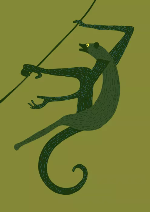 Nicholas: Jungle Acrobatics