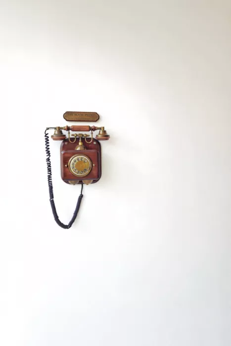 Markovic, Branko: Il telefono di casa