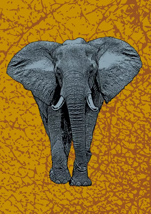 Kaminski, Carlo: Éléphant majestueux