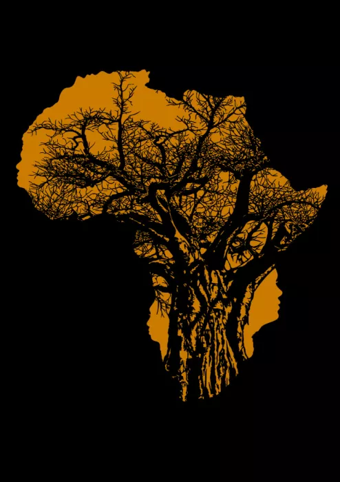 Kaminski, Carlo: Baobab africain, arbre de vie