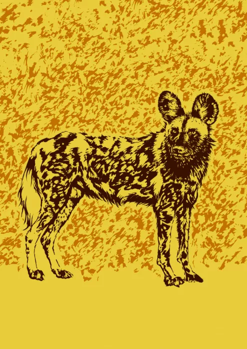 Kaminski, Carlo: Chien sauvage brun or
