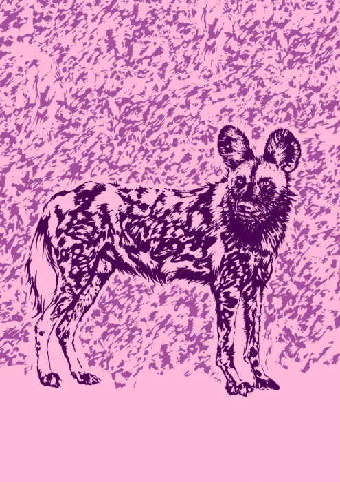 Kaminski, Carlo: Chien sauvage en rose