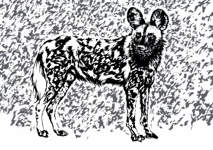 Kaminski, Carlo: Chien sauvage en nuances de gris