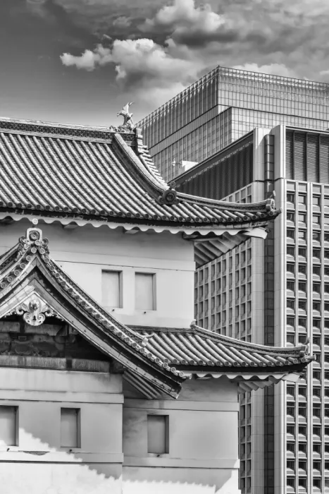 Viola, Melanie: TOKYO Historie a modernost | černobílá