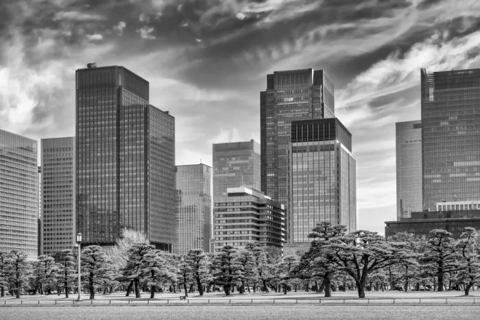 Viola, Melanie: Ginza Skyline Tokio | Monochrom
