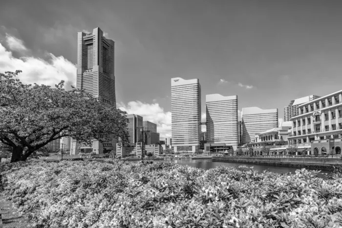 Viola, Melanie: Idyllische Yokohama-Skyline | Monochrom