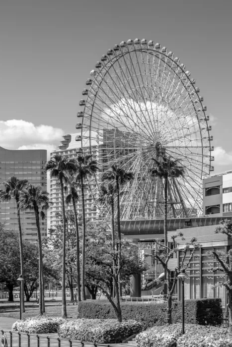 Viola, Melanie: Ferris Wheel a obzor Yokohamy | monochromatický