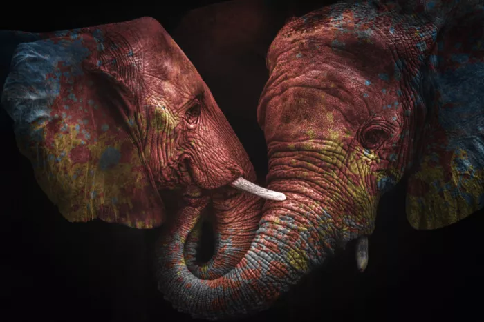 Kazamil, Farid: Farben