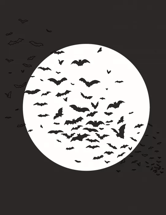 Nicholas: Chauves-souris sous la pleine lune