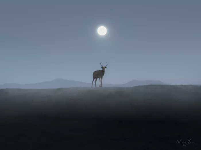 Ye, NingYun: Ohne Titel