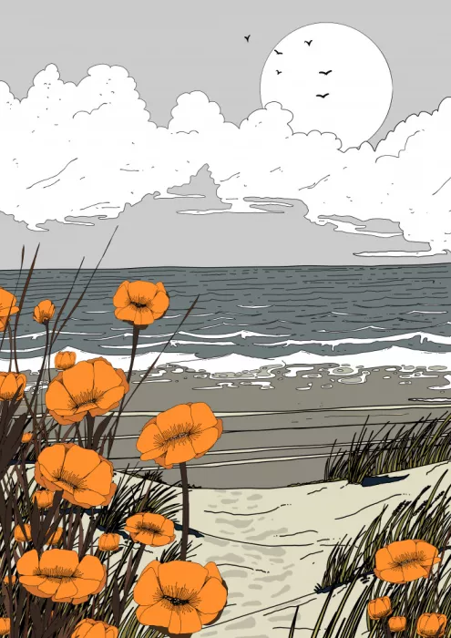 Nicholas: Coquelicots sur la plage