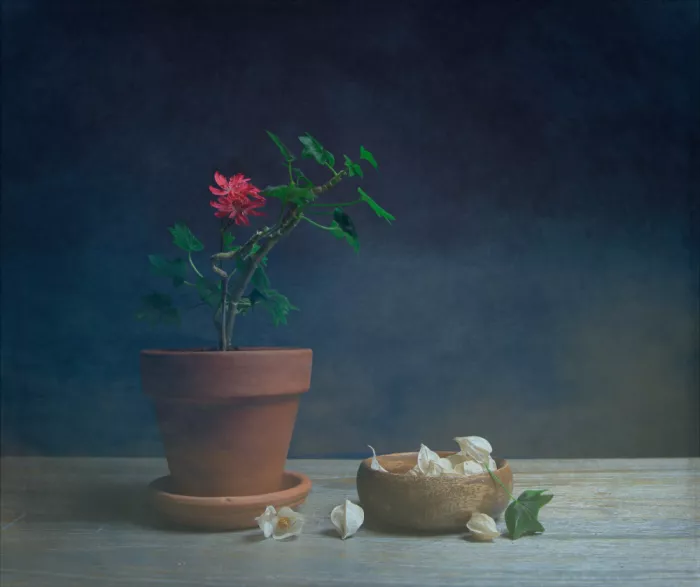Zhou, Fangping: Geranie und Physalis
