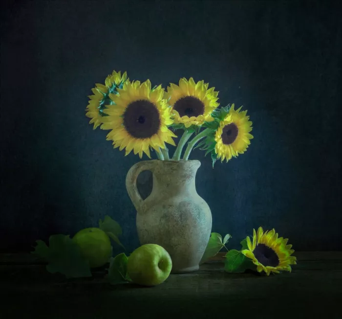 F., Yinan: Girasoli