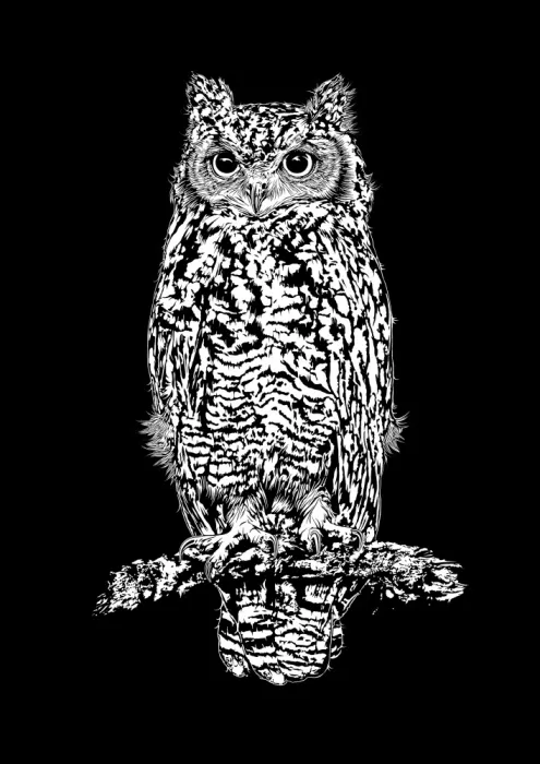 Kaminski, Carlo: Hibou-Eagle Tacheté sur Noir