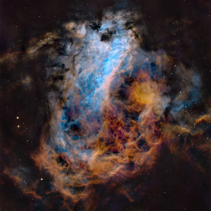 Chander, Vikas: La Nebulosa del Cigno