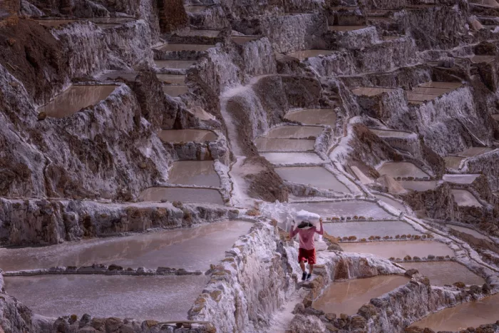 Zhang, Dennis: Echi di Maras