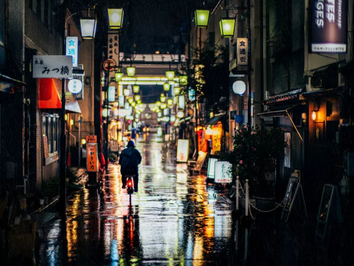 Fujii, Yuzo: Asakusa Tokyo