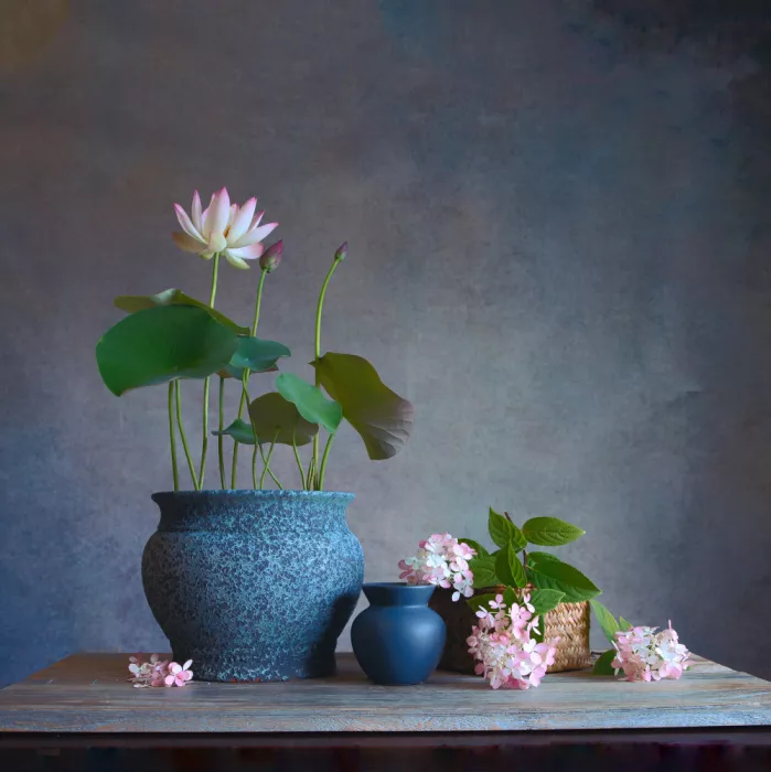 Zhou, Fangping: Lotos und Hortensie