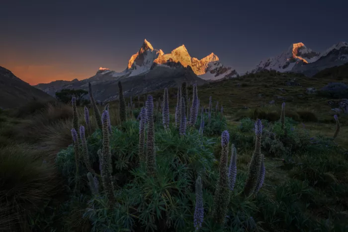 P., Ruiqing: Jardin des Andes