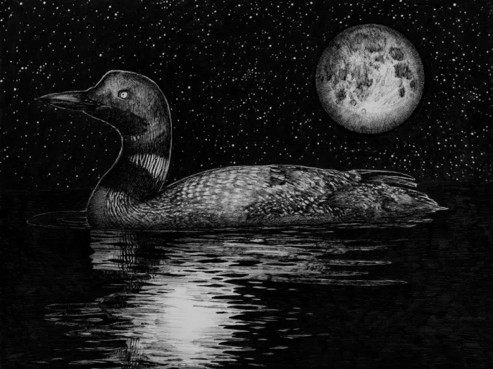 Mazur, EC: Plongeon au clair de lune Grand