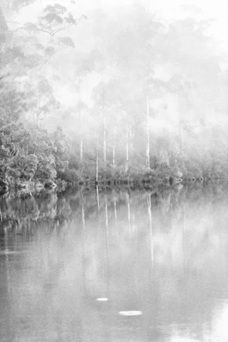 Henley, Nadine: Senza titolo