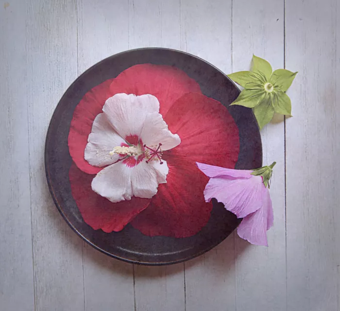 Zhou, Fangping: Palette der Natur