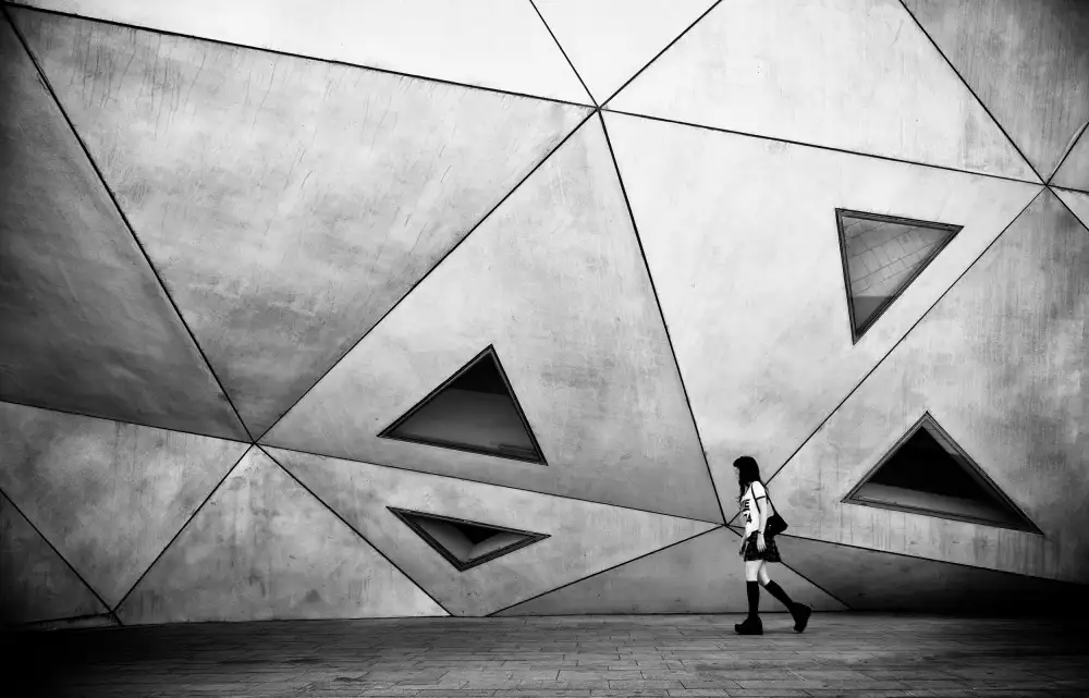 Eliash, Tomer: Objetivo