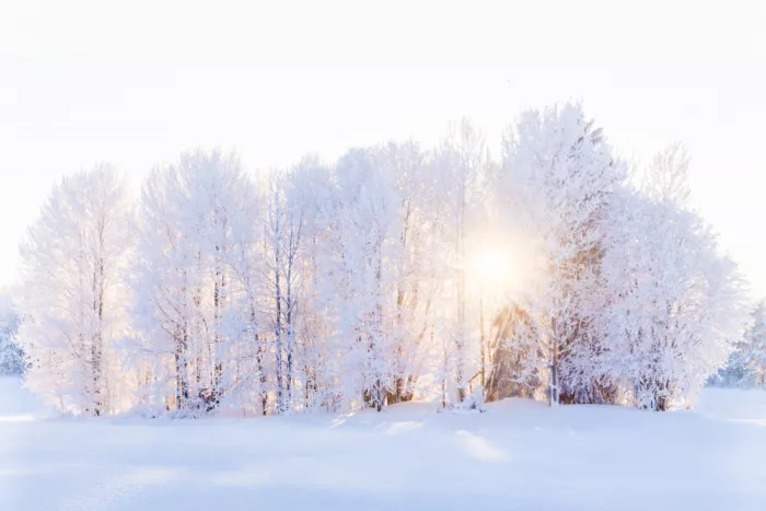 EMELIEmaria: La luce ritorna