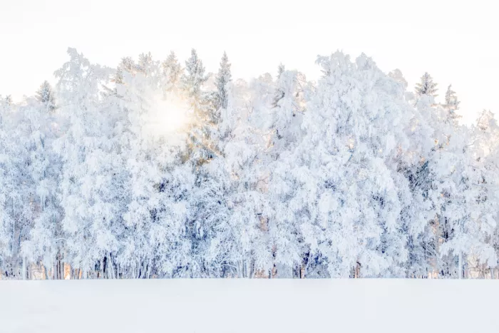 EMELIEmaria: Luce invernale