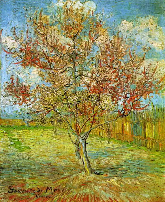 Gogh, Vincent van: Kvetoucí broskvoň