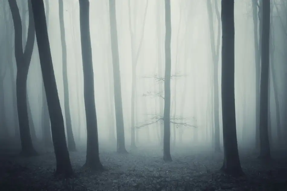 PhotoCosma: Mimo tento svět