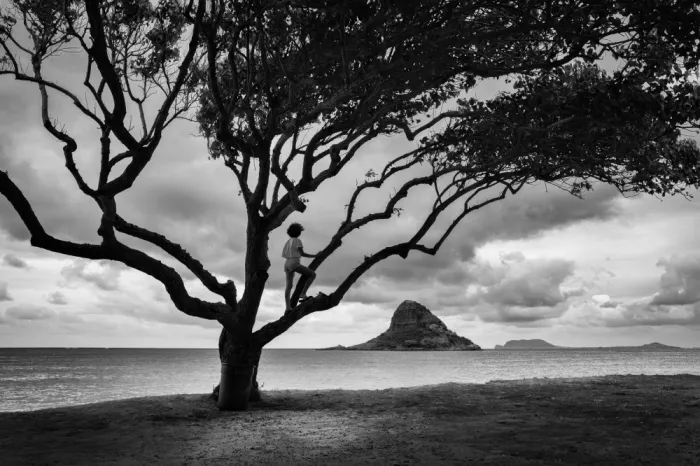 Groleau, Michel: Hoffnung auf eine Insel