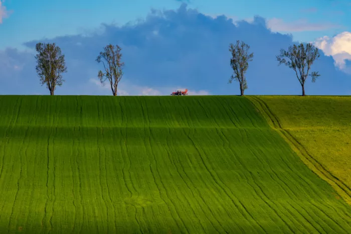 Hrabinsky, Peter: Sopra il Vazec