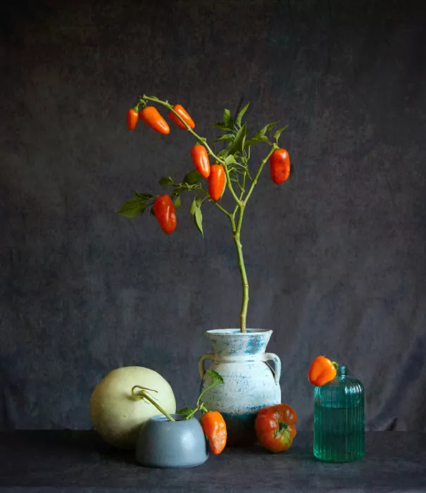 Zhou, Fangping: Paprika und Honigmelone
