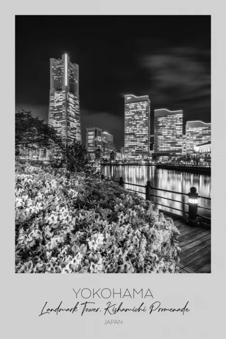 Viola, Melanie: A fuoco: skyline di Yokohama di notte