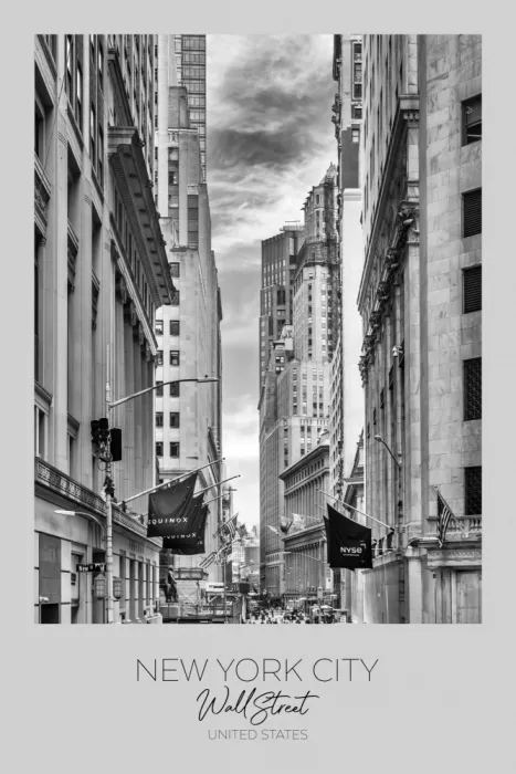 Viola, Melanie: Im Fokus: NEW YORK CITY Wall Street
