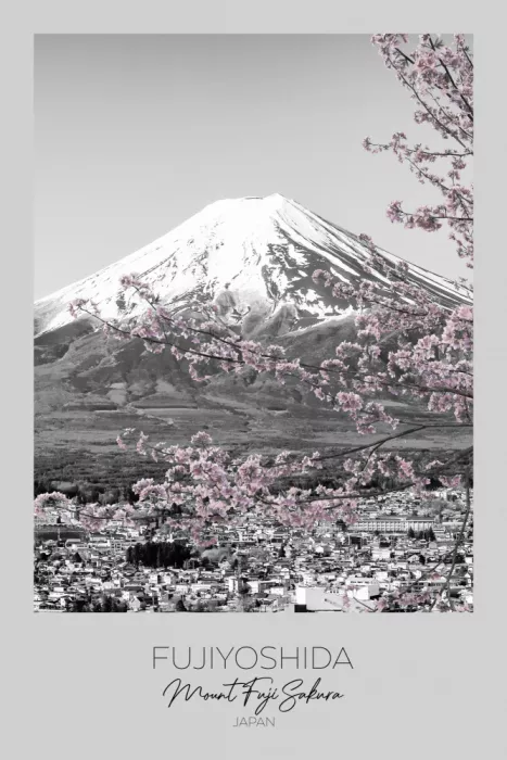 Viola, Melanie: A fuoco: Veduta del Monte Fuji durante la stagione dei fiori di ciliegio | chiave cromatica