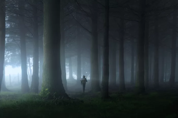 Ye, NingYun: Nebelwald