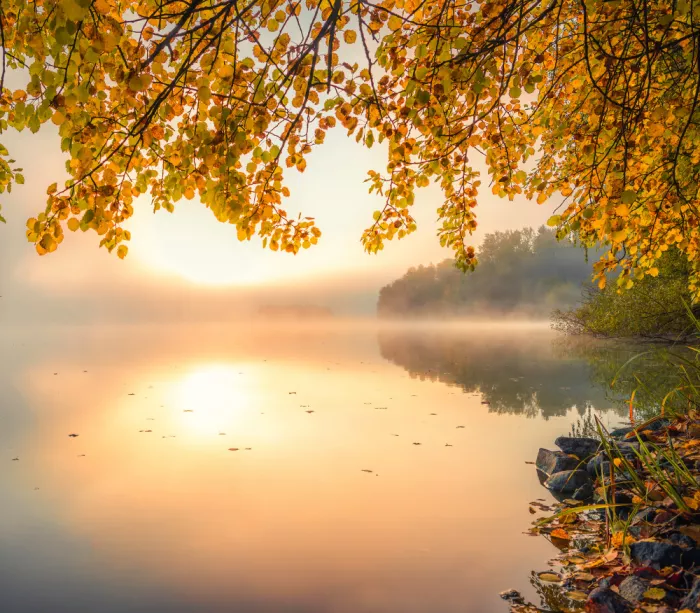 Lindsten, Christian: Goldener Nebel