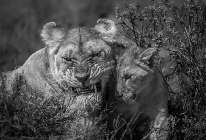 W, Joanna: Amo la Mamma - Tanzania