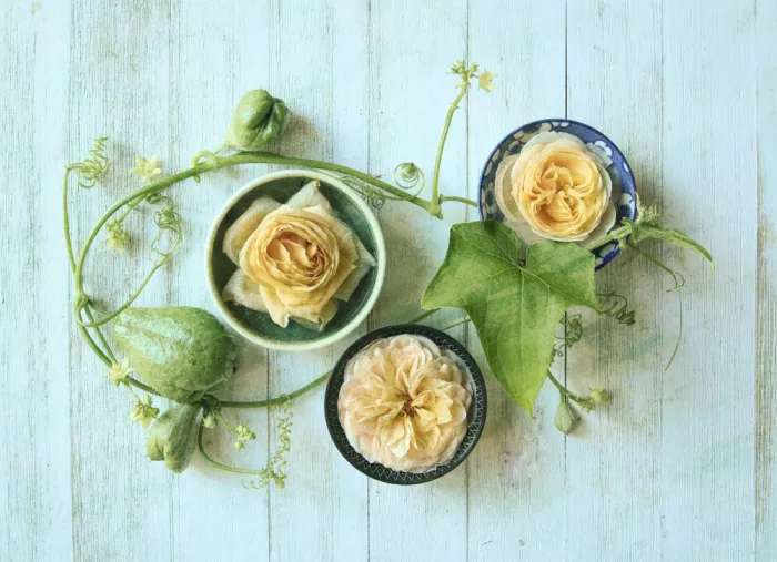 Zhou, Fangping: Gefrorene Rosen und frische Chayote