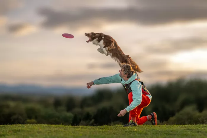 Šimic, Joško: Sky in action