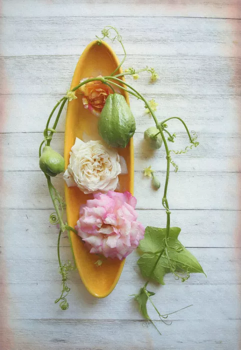 Zhou, Fangping: Frische Chayote und gefrorene Rosen