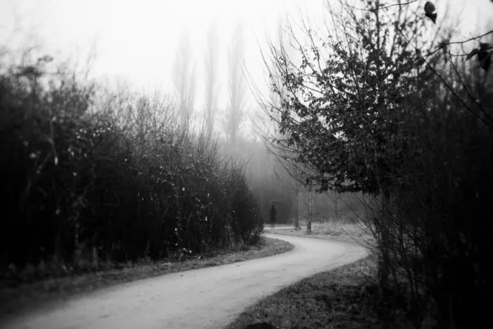 Dauria, Adam: Paradoxa