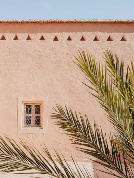 Photolovers: Foglie di palma e edificio in terra cruda in Marocco