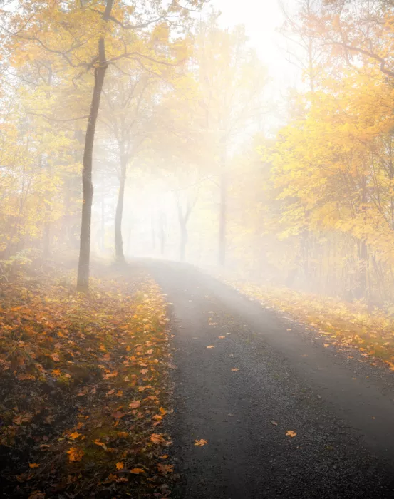 Lindsten, Christian: Herbststraße v4